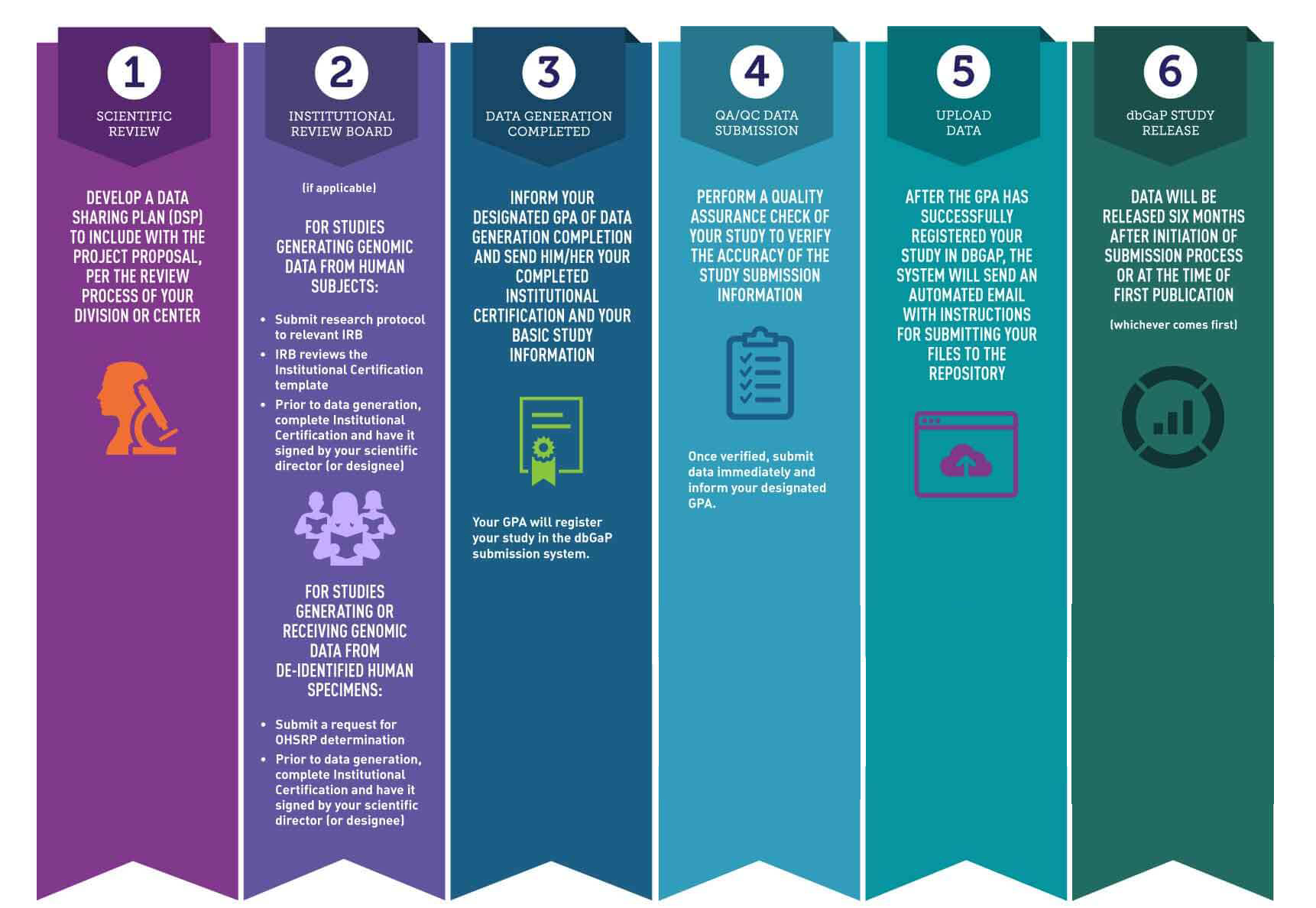 Infographic depicting multi-colored ribbons listed in a chronological order from left to right. Text on graphic is as follows: 1. Scientific Review. Develop a data sharing plan (DSP) to include with the project proposal, per the review process of your division or center. Orange graphic of human profile silhouette beside a mircoscope. 2. Institutional Review Board. (if applicable) For studies generating genomic data from human subjects: • Submit research protocol to relevant IRB. • IRB reviews the Institutional Certification template. • Prior to data generation, complete Institutional Certification and have it signed by your scientific director (or designee). Purple graphic of three humans reading books. For studies generating or receiving genomic data from de-identified human specimens: • Submit a request for OHSRP determination. • Prior to data generation, complete Institutional Certification and have it signed by your scientific director (or designee). 3. Data Generation Completed. Inform your designated GPA of data generation completion and send him/her your completed Institutional Certification and your basic study information. Green graphic of certificate. Your GPA will register your study in the dbGaP submission system. 4. QA/QC Data Submission. Perform a quality assurance check of your study to verify the accuracy of the study submission information. Blue graphic of checklist. Once verified, submit data immediately and inform your designated GPA. 5. Upload Data. After the GPA has successfully registered your study in dbGaP, the system will send an automated email with instructions for submitting your files to the repository. Magenta graphic of website upload. 6. dbGaP Study Release. Data will be released six months after initiation of submission process or at the time of first publication (whichever comes first). Dark green graphic of bar chart.
