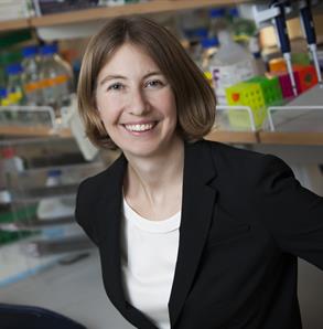 Headshot of Dr. Kristen Naegle