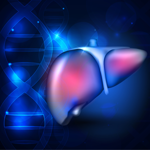 Stylized image shows a strand of DNA next to a drawing of a liver. Illustrates the idea that DNA may aid in detecting liver cancer.