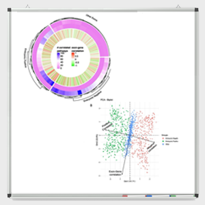Examples of data visualization showing a circular heat map and a PCA biplot.